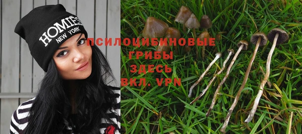 крисы Заволжье
