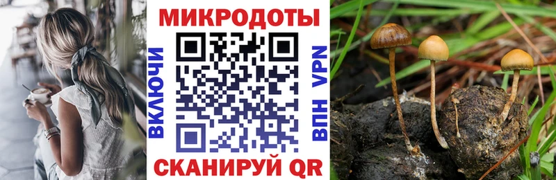 Псилоцибиновые грибы GOLDEN TEACHER  где можно купить   Сковородино 